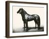 Omaha And Flares; A Brother Act-C.W. Anderson-Framed Art Print