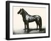 Omaha And Flares; A Brother Act-C.W. Anderson-Framed Art Print