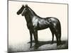Omaha And Flares; A Brother Act-C.W. Anderson-Mounted Art Print