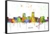 Omaha Nebraska Skyline MCLR 1-Marlene Watson-Framed Stretched Canvas