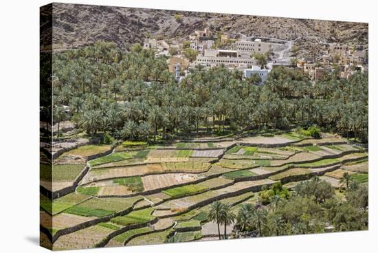 Oman, Ad Dakhiliyah Governorate-Nigel Pavitt-Stretched Canvas