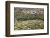 Oman, Ad Dakhiliyah Governorate-Nigel Pavitt-Framed Photographic Print