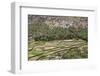 Oman, Ad Dakhiliyah Governorate-Nigel Pavitt-Framed Photographic Print