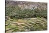 Oman, Ad Dakhiliyah Governorate-Nigel Pavitt-Stretched Canvas