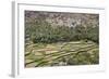 Oman, Ad Dakhiliyah Governorate-Nigel Pavitt-Framed Photographic Print