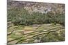 Oman, Ad Dakhiliyah Governorate-Nigel Pavitt-Mounted Photographic Print