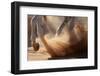 Oman Desert-Kadir Civici-Framed Photographic Print