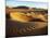 Oman, Empty Quarter; the Martian-Like Landscape of the Empty Quarter Dunes;-Niels Van Gijn-Mounted Photographic Print