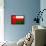 Oman Flag Design with Wood Patterning - Flags of the World Series-Philippe Hugonnard-Framed Stretched Canvas displayed on a wall
