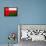 Oman Flag Design with Wood Patterning - Flags of the World Series-Philippe Hugonnard-Framed Stretched Canvas displayed on a wall