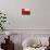 Oman Flag Design with Wood Patterning - Flags of the World Series-Philippe Hugonnard-Stretched Canvas displayed on a wall