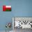 Oman Flag Design with Wood Patterning - Flags of the World Series-Philippe Hugonnard-Stretched Canvas displayed on a wall