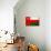 Oman Flag Design with Wood Patterning - Flags of the World Series-Philippe Hugonnard-Stretched Canvas displayed on a wall