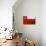 Oman Flag Design with Wood Patterning - Flags of the World Series-Philippe Hugonnard-Art Print displayed on a wall