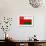 Oman Flag Design with Wood Patterning - Flags of the World Series-Philippe Hugonnard-Framed Art Print displayed on a wall
