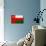 Oman Flag Design with Wood Patterning - Flags of the World Series-Philippe Hugonnard-Mounted Art Print displayed on a wall