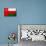 Oman Flag Design with Wood Patterning - Flags of the World Series-Philippe Hugonnard-Mounted Art Print displayed on a wall