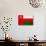 Oman Flag Design with Wood Patterning - Flags of the World Series-Philippe Hugonnard-Art Print displayed on a wall