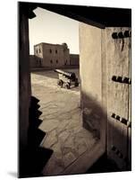 Oman, Jabrin Fort-Michele Falzone-Mounted Photographic Print