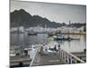 Oman, Muscat, Mutrah, Morning at the Mutrah Fish Market-Walter Bibikow-Mounted Photographic Print