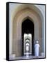 Oman, Muscat, Sultan Qaboos Grand Mosque-Michele Falzone-Framed Stretched Canvas