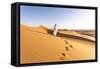 Oman, Wahiba Sands. Bedouin on the Sand Dunes at Sunset (Mr)-Matteo Colombo-Framed Stretched Canvas