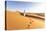 Oman, Wahiba Sands. Bedouin on the Sand Dunes at Sunset (Mr)-Matteo Colombo-Stretched Canvas