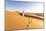 Oman, Wahiba Sands. Bedouin on the Sand Dunes at Sunset (Mr)-Matteo Colombo-Mounted Photographic Print