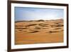 Oman, Wahiba Sands. Camels Belonging to Bedouins Cross Sand Dunes in Wahiba Sands.-Nigel Pavitt-Framed Photographic Print