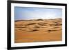 Oman, Wahiba Sands. Camels Belonging to Bedouins Cross Sand Dunes in Wahiba Sands.-Nigel Pavitt-Framed Photographic Print