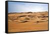 Oman, Wahiba Sands. Camels Belonging to Bedouins Cross Sand Dunes in Wahiba Sands.-Nigel Pavitt-Framed Stretched Canvas