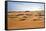 Oman, Wahiba Sands. Camels Belonging to Bedouins Cross Sand Dunes in Wahiba Sands.-Nigel Pavitt-Framed Stretched Canvas