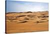 Oman, Wahiba Sands. Camels Belonging to Bedouins Cross Sand Dunes in Wahiba Sands.-Nigel Pavitt-Stretched Canvas