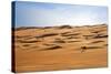 Oman, Wahiba Sands. Camels Belonging to Bedouins Cross Sand Dunes in Wahiba Sands.-Nigel Pavitt-Stretched Canvas