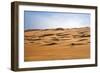 Oman, Wahiba Sands. Camels Belonging to Bedouins Cross Sand Dunes in Wahiba Sands.-Nigel Pavitt-Framed Photographic Print