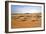 Oman, Wahiba Sands. Camels Belonging to Bedouins Cross Sand Dunes in Wahiba Sands.-Nigel Pavitt-Framed Photographic Print