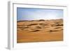 Oman, Wahiba Sands. Camels Belonging to Bedouins Cross Sand Dunes in Wahiba Sands.-Nigel Pavitt-Framed Photographic Print