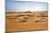 Oman, Wahiba Sands. Camels Belonging to Bedouins Cross Sand Dunes in Wahiba Sands.-Nigel Pavitt-Mounted Photographic Print