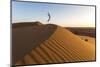 Oman, Wahiba Sands. Tourist Jumping on the Sand Dunes (Mr)-Matteo Colombo-Mounted Photographic Print