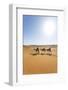 Oman, Wahiba Sands. Tourists Riding Camels in the Desert (Mr)-Matteo Colombo-Framed Photographic Print