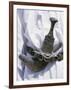 Omani Men Wear Traditional Long White Robes, Ceremonial Khanjar on Al Jabal Al Akhdar-John Warburton-lee-Framed Photographic Print