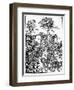 Omar Khayam: Rubaiyat-Edmund J. Sullivan-Framed Giclee Print