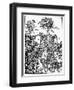 Omar Khayam: Rubaiyat-Edmund J. Sullivan-Framed Giclee Print