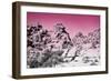 Ombre Adventure IV-Elizabeth Urquhart-Framed Photo