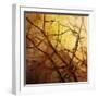 Ombre Branches-James McMasters-Framed Art Print