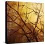 Ombre Branches-James McMasters-Stretched Canvas