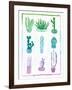 Ombre Cactus-Ashley Sta Teresa-Framed Art Print