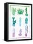 Ombre Cactus-Ashley Sta Teresa-Framed Stretched Canvas