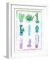 Ombre Cactus-Ashley Sta Teresa-Framed Art Print