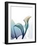 Ombre Expression 10-Albert Koetsier-Framed Photographic Print